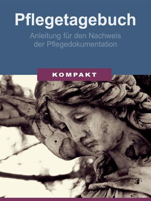 cover image of Pflegetagebuch--Anleitung für den Nachweis der Pflegedokumentation
